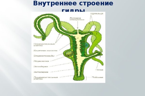 Кракен вход krakens13 at