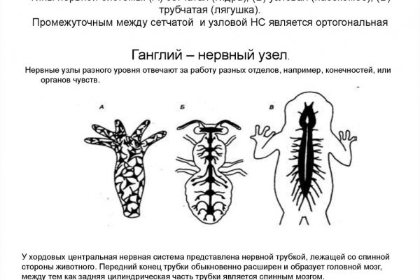 Кракен не заходит